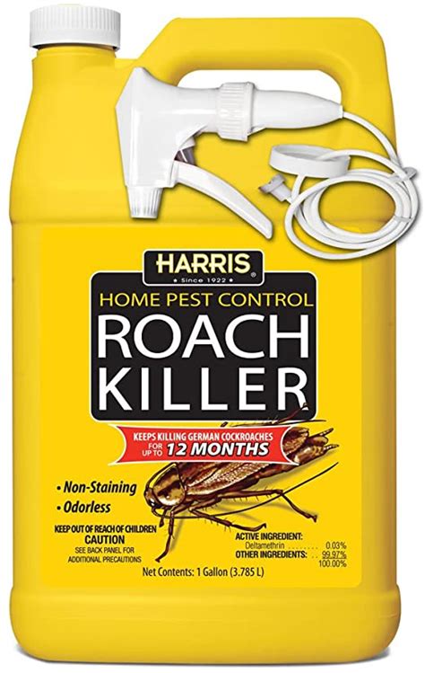 best roach killer products.